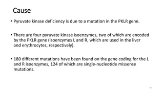 Cause
• Pyruvate kinase deficiency is due to a mutation in the PKLR gene.
• There are four pyruvate kinase isoenzymes, two of which are encoded
by the PKLR gene (isoenzymes L and R, which are used in the liver
and erythrocytes, respectively).
• 180 different mutations have been found on the gene coding for the L
and R isoenzymes, 124 of which are single-nucleotide missense
mutations.
59
 