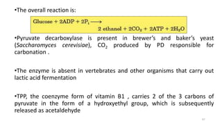 •The overall reaction is:
•Pyruvate decarboxylase is present in brewer’s and baker’s yeast
(Saccharomyces cerevisiae), CO2 produced by PD responsible for
carbonation .
•The enzyme is absent in vertebrates and other organisms that carry out
lactic acid fermentation
•TPP, the coenzyme form of vitamin B1 , carries 2 of the 3 carbons of
pyruvate in the form of a hydroxyethyl group, which is subsequently
released as acetaldehyde
67
 