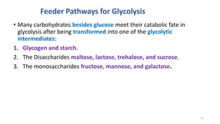 • Many carbohydrates besides glucose meet their catabolic fate in
glycolysis after being transformed into one of the glycolytic
intermediates:
1. Glycogen and starch.
2. The Disaccharides maltose, lactose, trehalose, and sucrose.
3. The monosaccharides fructose, mannose, and galactose.
Feeder Pathways for Glycolysis
70
 