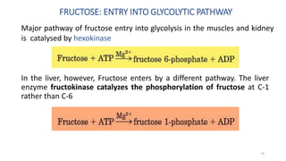 FRUCTOSE: ENTRY INTO GLYCOLYTIC PATHWAY
Major pathway of fructose entry into glycolysis in the muscles and kidney
is catalysed by hexokinase
In the liver, however, Fructose enters by a different pathway. The liver
enzyme fructokinase catalyzes the phosphorylation of fructose at C-1
rather than C-6
74
 