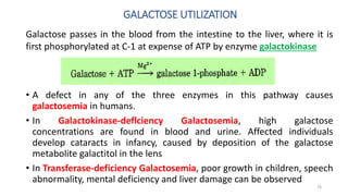 GALACTOSE UTILIZATION
Galactose passes in the blood from the intestine to the liver, where it is
first phosphorylated at C-1 at expense of ATP by enzyme galactokinase
• A defect in any of the three enzymes in this pathway causes
galactosemia in humans.
• In Galactokinase-deflciency Galactosemia, high galactose
concentrations are found in blood and urine. Affected individuals
develop cataracts in infancy, caused by deposition of the galactose
metabolite galactitol in the lens
• In Transferase-deficiency Galactosemia, poor growth in children, speech
abnormality, mental deficiency and liver damage can be observed
76
 