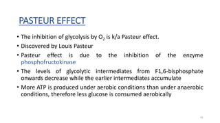 PASTEUR EFFECT
• The inhibition of glycolysis by O2 is k/a Pasteur effect.
• Discovered by Louis Pasteur
• Pasteur effect is due to the inhibition of the enzyme
phosphofructokinase
• The levels of glycolytic intermediates from F1,6-bisphosphate
onwards decrease while the earlier intermediates accumulate
• More ATP is produced under aerobic conditions than under anaerobic
conditions, therefore less glucose is consumed aerobically
81
 