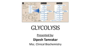GLYCOLYSIS
Presented by:
Dipesh Tamrakar
Msc. Clinical Biochemistry
 