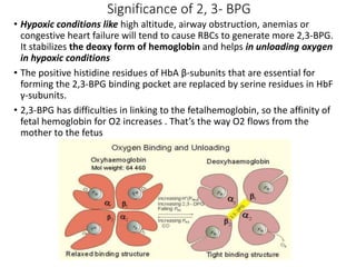 Glycolysis.pptx