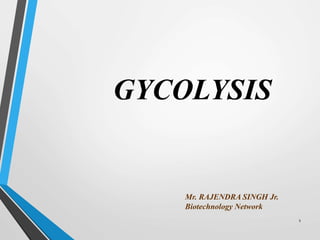 1
GYCOLYSIS
Mr. RAJENDRA SINGH Jr.
Biotechnology Network
 
