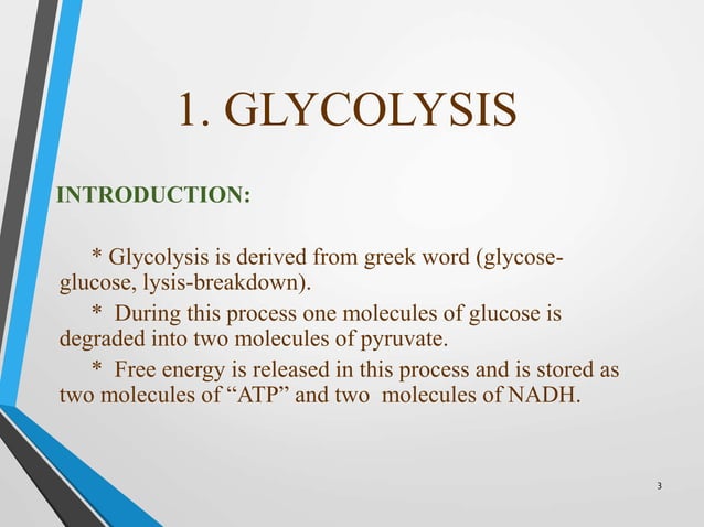 Glycolysis PPTX Chemistry Science Glycolysis 3 638