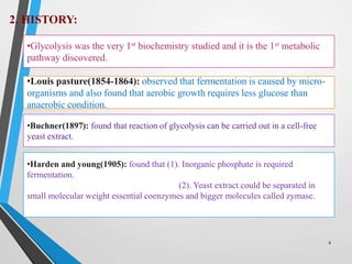 2. HISTORY:
•Glycolysis was the very 1st biochemistry studied and it is the 1st metabolic
pathway discovered.
•Louis pasture(1854-1864): observed that fermentation is caused by micro-
organisms and also found that aerobic growth requires less glucose than
anaerobic condition.
•Buchner(1897): found that reaction of glycolysis can be carried out in a cell-free
yeast extract.
•Harden and young(1905): found that (1). Inorganic phosphate is required
fermentation.
(2). Yeast extract could be separated in
small molecular weight essential coenzymes and bigger molecules called zymase.
4
 