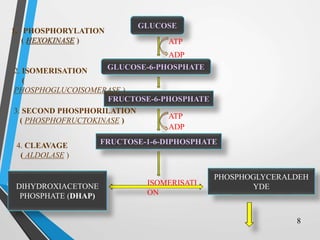 GLUCOSE
GLUCOSE-6-PHOSPHATE
FRUCTOSE-6-PHOSPHATE
FRUCTOSE-1-6-DIPHOSPHATE
DIHYDROXIACETONE
PHOSPHATE (DHAP)
PHOSPHOGLYCERALDEH
YDE
ATP
ADP
ATP
ADP
ISOMERISATI
ON
1. PHOSPHORYLATION
( HEXOKINASE )
2. ISOMERISATION
(
PHOSPHOGLUCOISOMERASE )
3. SECOND PHOSPHORILATION
( PHOSPHOFRUCTOKINASE )
4. CLEAVAGE
( ALDOLASE )
8
 