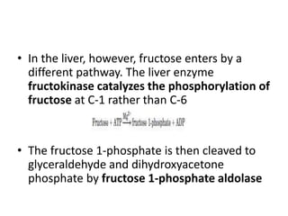 • In the liver, however, fructose enters by a
different pathway. The liver enzyme
fructokinase catalyzes the phosphorylation of
fructose at C-1 rather than C-6
• The fructose 1-phosphate is then cleaved to
glyceraldehyde and dihydroxyacetone
phosphate by fructose 1-phosphate aldolase
 