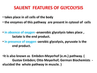 SALIENT FEATURES OF GLYCOLYSIS
• takes place in all cells of the body
• the enzymes of this pathway are present in cytosol of cells
• in absence of oxygen -anaerobic glycolysis takes place ,
lactate is the end product.
• in presence of oxygen -aerobic glycolysis, pyruvate is the
end product.
•it is also known as Embden-Meyerhof (e.m.) pathway. (
Gustav Embden; Otto Meyerhof; German Biochemists -
elucided the whole pathway in muscle. )
 