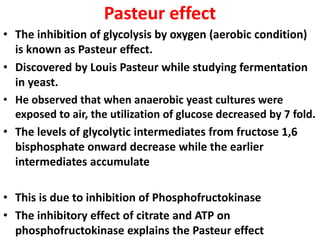 Pasteur effect
• The inhibition of glycolysis by oxygen (aerobic condition)
is known as Pasteur effect.
• Discovered by Louis Pasteur while studying fermentation
in yeast.
• He observed that when anaerobic yeast cultures were
exposed to air, the utilization of glucose decreased by 7 fold.
• The levels of glycolytic intermediates from fructose 1,6
bisphosphate onward decrease while the earlier
intermediates accumulate
• This is due to inhibition of Phosphofructokinase
• The inhibitory effect of citrate and ATP on
phosphofructokinase explains the Pasteur effect
 