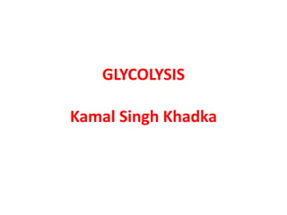 GLYCOLYSIS
Kamal Singh Khadka
 