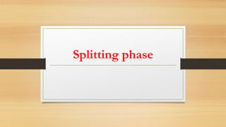 Splitting Process Ppt Slide Glycolysis | PPTX