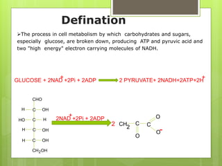 Emp Path carbohydrate metabolism, Glycolysis, metabolic process of carbohydrates ...
