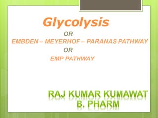 Glycolysis
EMBDEN – MEYERHOF – PARANAS PATHWAY
EMP PATHWAY
OR
OR
 