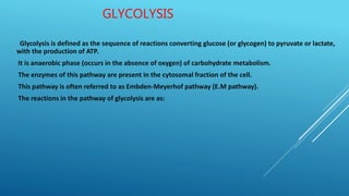 GLYCOLYSIS
Glycolysis is defined as the sequence of reactions converting glucose (or glycogen) to pyruvate or lactate,
with the production of ATP.
It is anaerobic phase (occurs in the absence of oxygen) of carbohydrate metabolism.
The enzymes of this pathway are present in the cytosomal fraction of the cell.
This pathway is often referred to as Embden-Meyerhof pathway (E.M pathway).
The reactions in the pathway of glycolysis are as:
 
