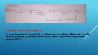 Conversion of pyruvate to Acetyl-CoA
Pyruvate is converted to acetyl CoA by oxidative decarboxylation. This is an irreversible
reaction, catalysed by a multienzyme complex, known as pyruvate dehydrogenase
complex (PDH).
 