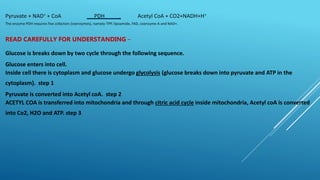 Pyruvate + NAD+ + CoA PDH Acetyl CoA + CO2+NADH+H+
The enzyme PDH requires five cofactors (coenzymes), namely-TPP, lipoamide, FAD, coenzyme A and NAD+.
READ CAREFULLY FOR UNDERSTANDING –
Glucose is breaks down by two cycle through the following sequence.
Glucose enters into cell.
Inside cell there is cytoplasm and glucose undergo glycolysis (glucose breaks down into pyruvate and ATP in the
cytoplasm). step 1
Pyruvate is converted into Acetyl coA. step 2
ACETYL COA is transferred into mitochondria and through citric acid cycle inside mitochondria, Acetyl coA is converted
into Co2, H2O and ATP. step 3
 