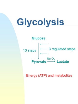 Glycolysis
Glucose
Pyruvate Lactate
10 steps
No O2
Energy (ATP) and metabolites
3 regulated steps
 