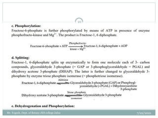 7/22/2021
10
Mr. Yogesh, Dept. of Botany JES college Jalna
 