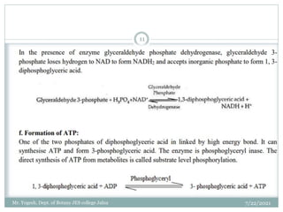 7/22/2021
11
Mr. Yogesh, Dept. of Botany JES college Jalna
 