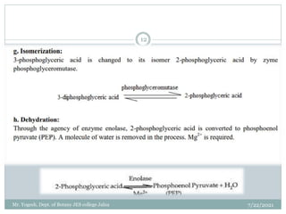 7/22/2021
12
Mr. Yogesh, Dept. of Botany JES college Jalna
 