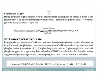 7/22/2021
13
Mr. Yogesh, Dept. of Botany JES college Jalna
 