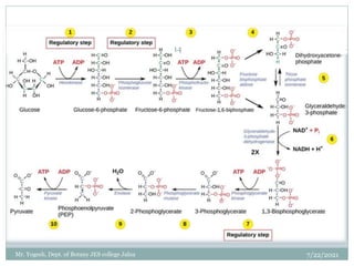 7/22/2021
14
Mr. Yogesh, Dept. of Botany JES college Jalna
 