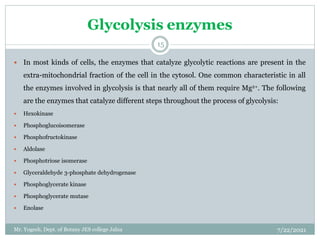 Glycolysis enzymes
 In most kinds of cells, the enzymes that catalyze glycolytic reactions are present in the
extra-mitochondrial fraction of the cell in the cytosol. One common characteristic in all
the enzymes involved in glycolysis is that nearly all of them require Mg2+. The following
are the enzymes that catalyze different steps throughout the process of glycolysis:
 Hexokinase
 Phosphoglucoisomerase
 Phosphofructokinase
 Aldolase
 Phosphotriose isomerase
 Glyceraldehyde 3-phosphate dehydrogenase
 Phosphoglycerate kinase
 Phosphoglycerate mutase
 Enolase
7/22/2021
15
Mr. Yogesh, Dept. of Botany JES college Jalna
 