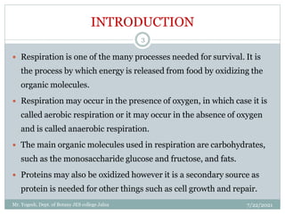 INTRODUCTION
 Respiration is one of the many processes needed for survival. It is
the process by which energy is released from food by oxidizing the
organic molecules.
 Respiration may occur in the presence of oxygen, in which case it is
called aerobic respiration or it may occur in the absence of oxygen
and is called anaerobic respiration.
 The main organic molecules used in respiration are carbohydrates,
such as the monosaccharide glucose and fructose, and fats.
 Proteins may also be oxidized however it is a secondary source as
protein is needed for other things such as cell growth and repair.
7/22/2021
3
Mr. Yogesh, Dept. of Botany JES college Jalna
 