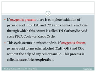  If oxygen is present there is complete oxidation of
pyruvic acid into H2O and CO2 and chemical reactions
through which this occurs is called Tri-Carboxylic Acid
cycle (TCA Cycle) or Krebs Cycle.
 This cycle occurs in mitochondria. If oxygen is absent,
pyruvic acid forms ethyl alcohol (C2H5OH) and CO2
without the help of any cell organelle. This process is
called anaerobic respiration.
7/22/2021
5
Mr. Yogesh, Dept. of Botany JES college Jalna
 