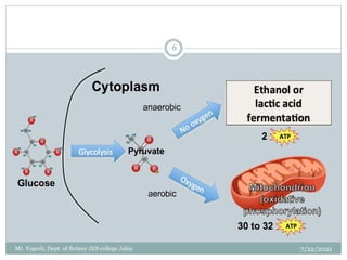 7/22/2021
6
Mr. Yogesh, Dept. of Botany JES college Jalna
 