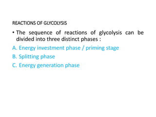 REACTIONS OF GLYCOLYSIS
• The sequence of reactions of glycolysis can be
divided into three distinct phases :
A. Energy investment phase / priming stage
B. Splitting phase
C. Energy generation phase
 
