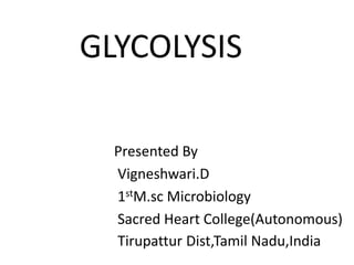 GLYCOLYSIS
Presented By
Vigneshwari.D
1stM.sc Microbiology
Sacred Heart College(Autonomous)
Tirupattur Dist,Tamil Nadu,India
 