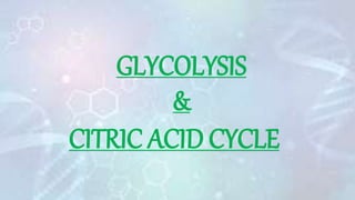 GLYCOLYSIS
&
CITRIC ACID CYCLE
 
