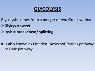 GLYCOLYSIS
Glycolysis comes from a merger of two Greek words:
Glykys = sweet
Lysis = breakdown/ splitting
It is also known as Embden-Meyerhof-Parnas pathway
or EMP pathway.
 