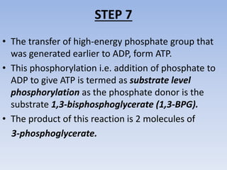 STEP 7
• The transfer of high-energy phosphate group that
was generated earlier to ADP, form ATP.
• This phosphorylation i.e. addition of phosphate to
ADP to give ATP is termed as substrate level
phosphorylation as the phosphate donor is the
substrate 1,3-bisphosphoglycerate (1,3-BPG).
• The product of this reaction is 2 molecules of
3-phosphoglycerate.
 