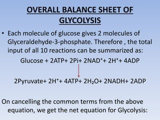 OVERALL BALANCE SHEET OF
GLYCOLYSIS
• Each molecule of glucose gives 2 molecules of
Glyceraldehyde-3-phosphate. Therefore , the total
input of all 10 reactions can be summarized as:
Glucose + 2ATP+ 2Pi+ 2NAD⁺+ 2H⁺+ 4ADP
2Pyruvate+ 2H⁺+ 4ATP+ 2H₂O+ 2NADH+ 2ADP
On cancelling the common terms from the above
equation, we get the net equation for Glycolysis:
 
