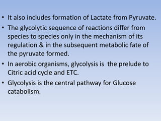 • It also includes formation of Lactate from Pyruvate.
• The glycolytic sequence of reactions differ from
species to species only in the mechanism of its
regulation & in the subsequent metabolic fate of
the pyruvate formed.
• In aerobic organisms, glycolysis is the prelude to
Citric acid cycle and ETC.
• Glycolysis is the central pathway for Glucose
catabolism.
 