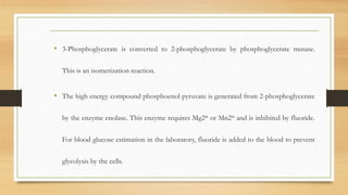 • 3-Phosphoglycerate is converted to 2-phosphoglycerate by phosphoglycerate mutase.
This is an isomerization reaction.
• The high energy compound phosphoenol pyruvate is generated from 2-phosphoglycerate
by the enzyme enolase. This enzyme requires Mg2* or Mn2* and is inhihited by fluoride.
For blood glucose estimation in the laboratory, fluoride is added to the blood to prevent
glycolysis by the cells.
 
