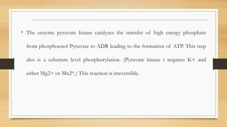 • The enzyme pyruvate kinase catalyzes the transfer of high energy phosphate
from phosphoenol Pyruvate to ADR leading to the formation of ATP. This step
also is a substrate level phosphorylation. (Pyruvate kinase t requires K+ and
either Mg2+ or Mn2*.) This reaction is irreversible.
 