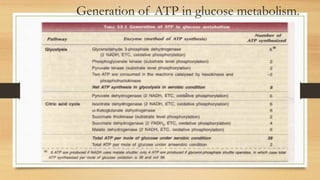 Generation of ATP in glucose metabolism.
 