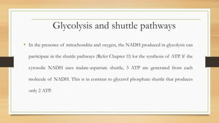 Glycolysis and shuttle pathways
• In the presence of mitochondria and oxygen, the NADH produced in glycolysis can
participate in the shuttle pathways (Refer Chapter 1l) lor the synthesis of ATP. lf the
cytosolic NADH uses malate-aspartate shuttle, 3 ATP are generated from each
molecule of NADH. This is in contrast to glycerol phosphate shuttle that produces
only 2 ATP.
 