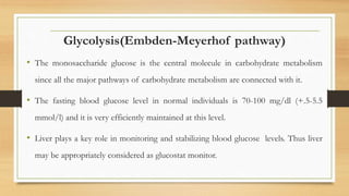 Glycolysis(Embden-Meyerhof pathway)
• The monosaccharide glucose is the central molecule in carbohydrate metabolism
since all the major pathways of carbohydrate metabolism are connected with it.
• The fasting blood glucose level in normal individuals is 70-100 mg/dl (+.5-5.5
mmol/l) and it is very efficiently maintained at this level.
• Liver plays a key role in monitoring and stabilizing blood glucose levels. Thus liver
may be appropriately considered as glucostat monitor.
 