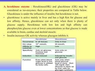 A. hexokinase enzyme : Hexokinase(HK) and glucokinase (GK) may be
considered as iso-enzymes; their properties are compared in Table below.
Glucokinase is under the influence of insulin; but hexokinase is not.
• glucokinase is active mainly in liver and has a high Km for glucose and
low affinity. Hence, glucokinase can act only when there is plenty of
glucose supply. Hexokinase with low km and high affinity can
phosphorylate glucose even at lower concentrations so that glucose is made
available to brain, cardiac and skeletal muscle.
• Insulin increases GK activity whereas glucagon inhibits it.
 