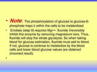 • Note: The phosphorylation of glucose to glucose-6-
phosphate traps it within the cells to be metabolized
• Enolase (step 9) requires Mg++. fluoride irreversibly
inhibit this enzyme by removing magnesium ions. Thus,
fluoride will stop the whole glycolysis. So when taking
blood for glucose estimation, fluoride must add to blood.
If not, glucose is continue to metabolize by the blood
cells and lower blood glucose values are obtained
(incorrect result).
•
 
