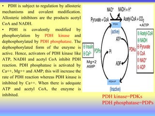 • PDH is subject to regulation by allosteric
mechanisms and covalent modification.
Allosteric inhibitors are the products acetyl
CoA and NADH.
• PDH is covalently modified by
phosphorylation by PDH kinase and
dephosphorylated by PDH phosphatase. The
dephosphorylated form of the enzyme is
active. Hence, activators of PDH kinase like
ATP, NADH and acetyl CoA inhibit PDH
reaction. PDH phosphatase is activated by
Ca++, Mg++ and AMP; this will increase the
rate of PDH reaction whereas PDH kinase is
inhibited by Ca++. When there is adequate
ATP and acetyl CoA, the enzyme is
inhibited.
Mg+2
AMP
+ATP
PDH
PDH-P
PDH kinase=PDKs
PDH phosphatase=PDPs
 