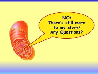 NO!
There’s still more
to my story!
Any Questions?
 