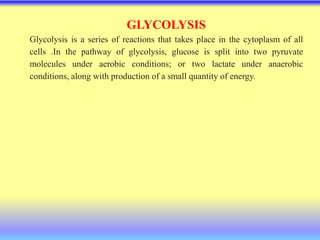 GLYCOLYSIS
Glycolysis is a series of reactions that takes place in the cytoplasm of all
cells .In the pathway of glycolysis, glucose is split into two pyruvate
molecules under aerobic conditions; or two lactate under anaerobic
conditions, along with production of a small quantity of energy.
 