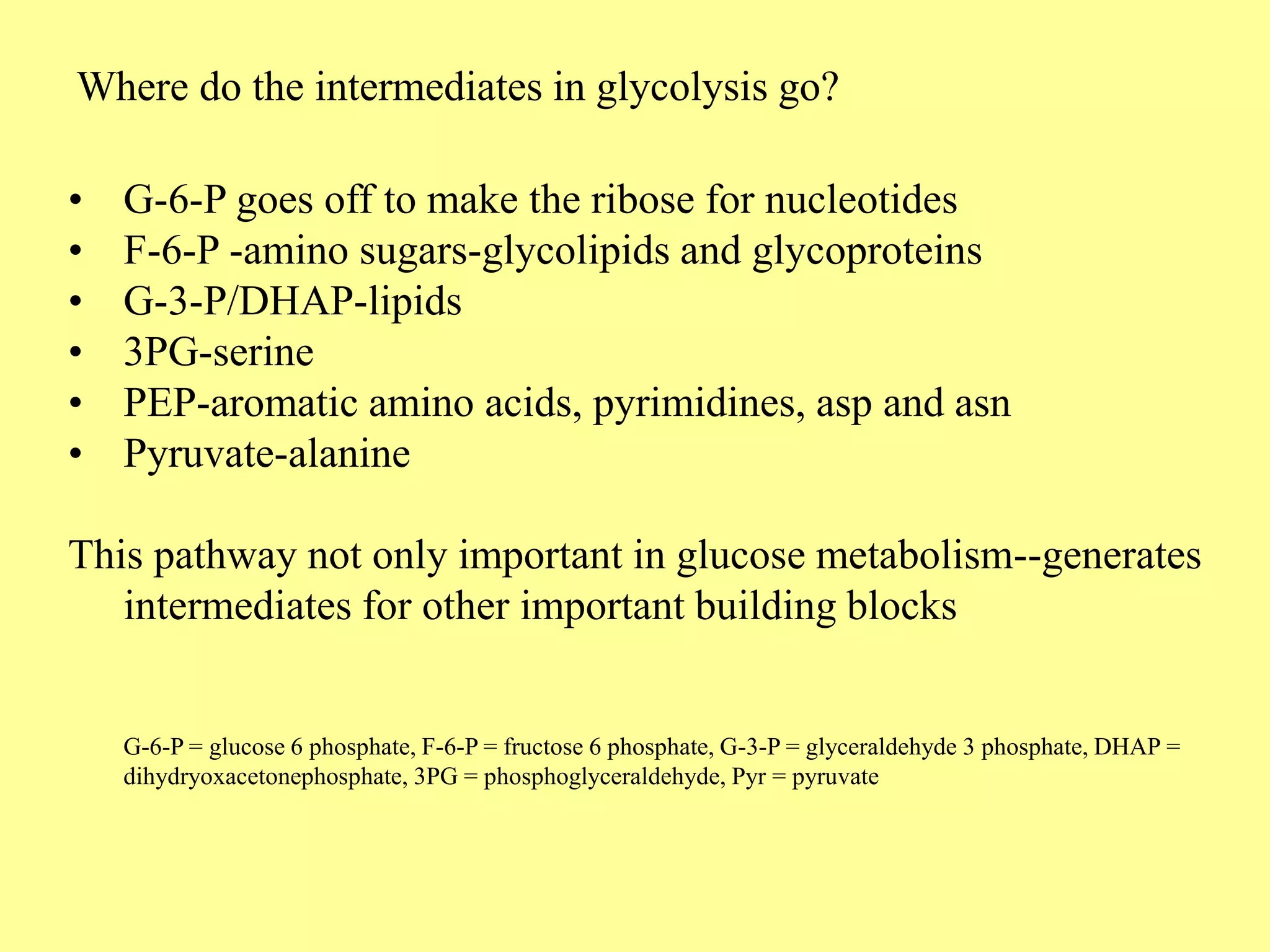 Where do the intermediates in glycolysis go?
• G-6-P goes off to make the ribose for nucleotides
• F-6-P -amino sugars-glycolipids and glycoproteins
• G-3-P/DHAP-lipids
• 3PG-serine
• PEP-aromatic amino acids, pyrimidines, asp and asn
• Pyruvate-alanine
This pathway not only important in glucose metabolism--generates
intermediates for other important building blocks
G-6-P = glucose 6 phosphate, F-6-P = fructose 6 phosphate, G-3-P = glyceraldehyde 3 phosphate, DHAP =
dihydryoxacetonephosphate, 3PG = phosphoglyceraldehyde, Pyr = pyruvate
 